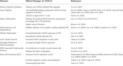 Annexin A2 and Kidney Diseases